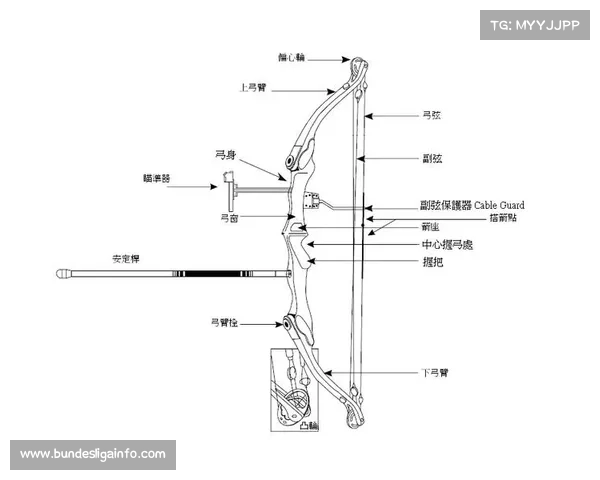反曲弓新材料弓弦频繁断裂引发事故 制造商紧急启动全球召回程序