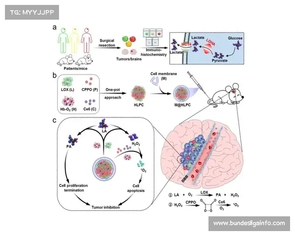 于子迪营养方案揭晓 深海鱼藻类与代谢技术协同保障儿童发育